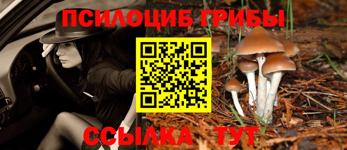 Псилоцибиновые грибы мицелий  Галлюциногенные грибы Cubensis  Вход с VPN  Добрянка 