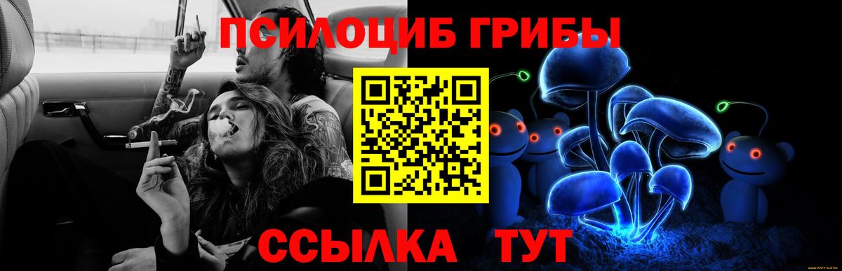 Галлюциногенные грибы Magic Shrooms Добрянка